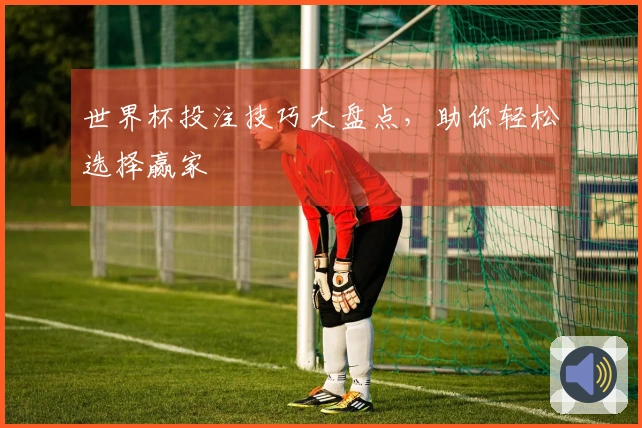 世界杯投注技巧大盘点，助你轻松选择赢家