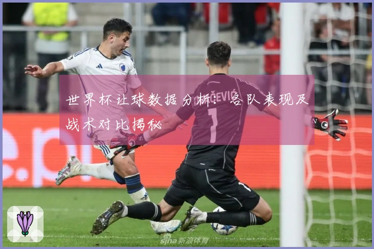 世界杯让球数据分析：各队表现及战术对比揭秘