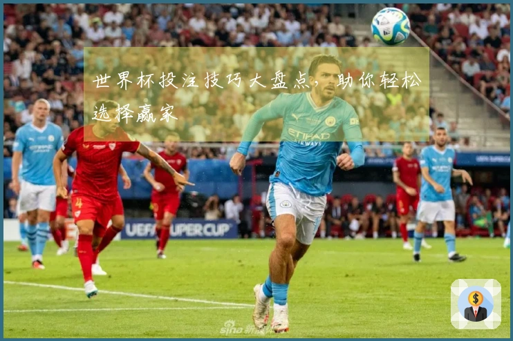 世界杯投注技巧大盘点，助你轻松选择赢家